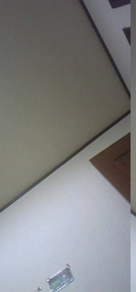 ���J���[�[