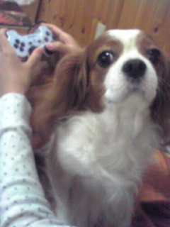 �R���g���[���[�ƌ�